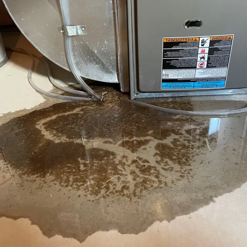 Pipe Burst and Leak Restoration in Holcomb, NY