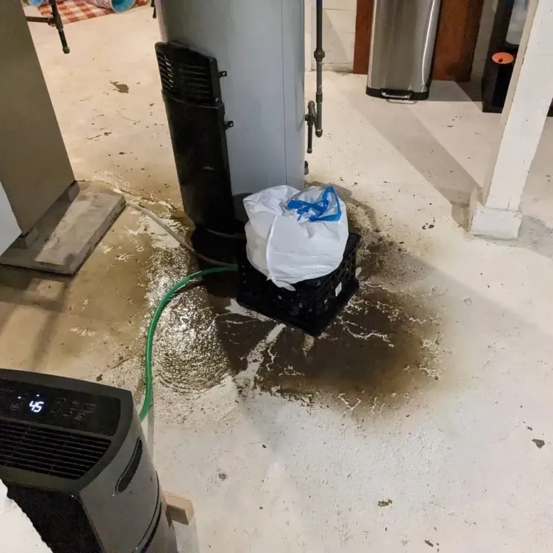Sewage Backup Cleanup Service in Holcomb, NY